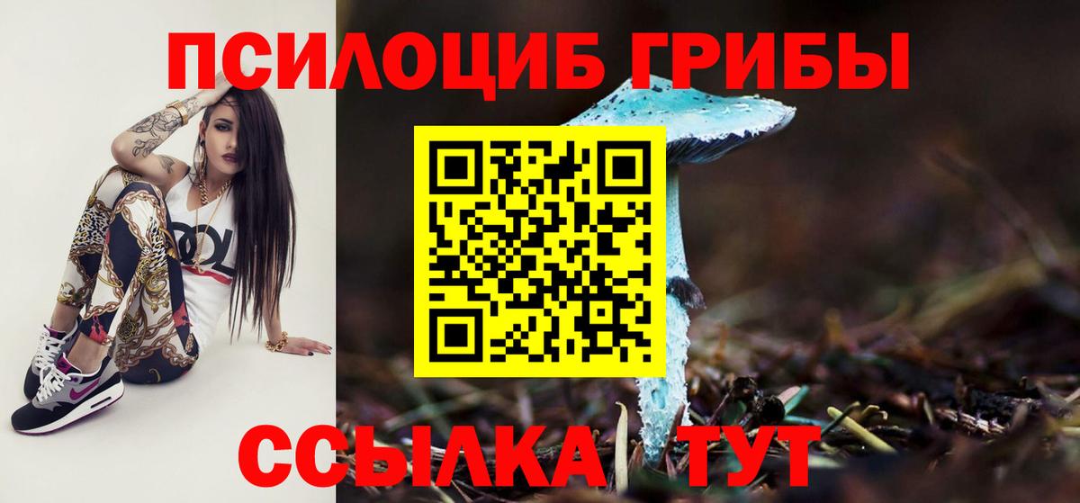 Галлюциногенные грибы мухоморы  Галлюциногенные грибы Psilocybe  Лесозаводск  Вход с VPN 